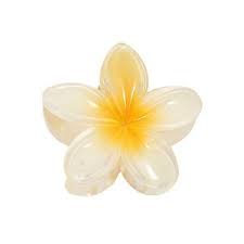 Flower Claw Clip